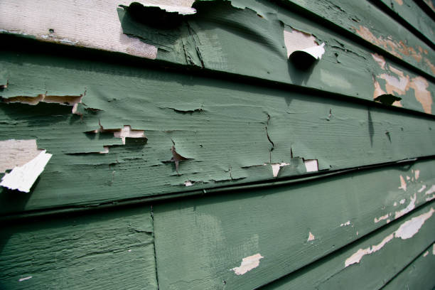  Gowanda, NY Junk Removal Pros