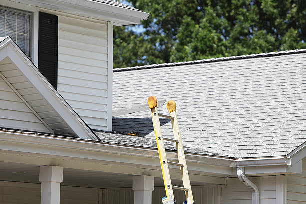 Best Shed Removal  in Gowanda, NY