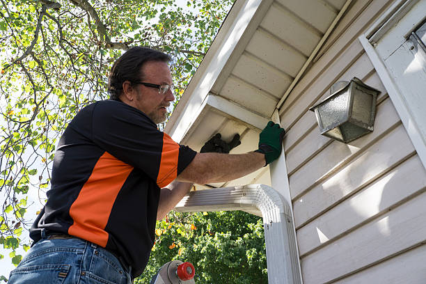 Shed Removal in Gowanda, NY